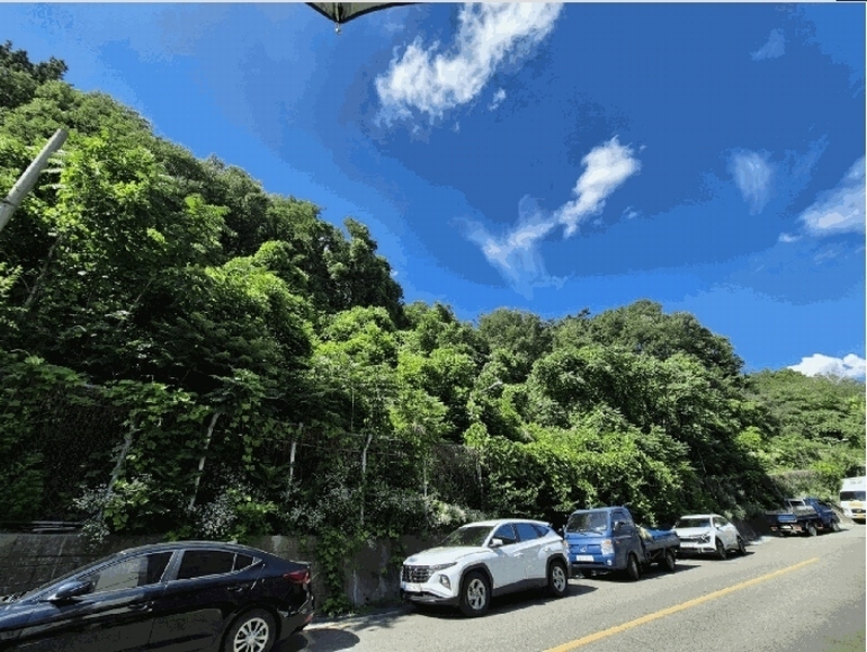 2025타경1747 대구광역시 달서구 이곡동 산26 임야 경매 이미지