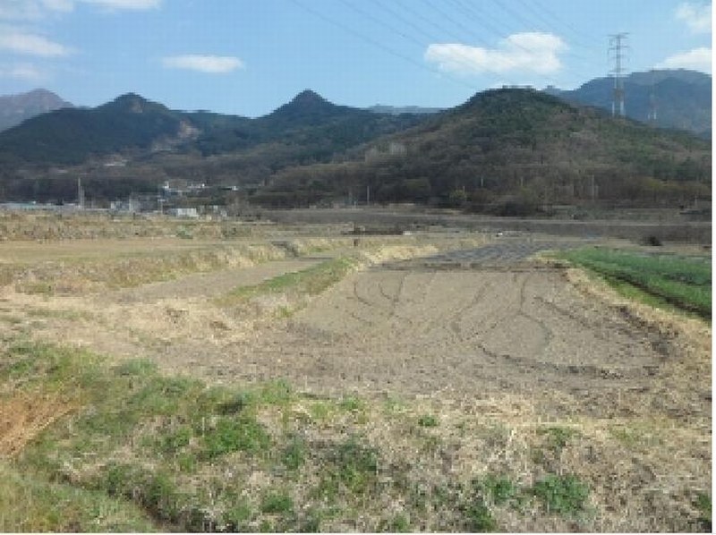2025타경31028 대구광역시 달성군 유가읍 쌍계리 579 농지 경매 이미지