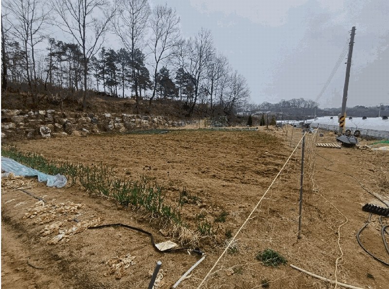 2025타경31047 경상북도 성주군 초전면 용성리 646 농지 경매 이미지