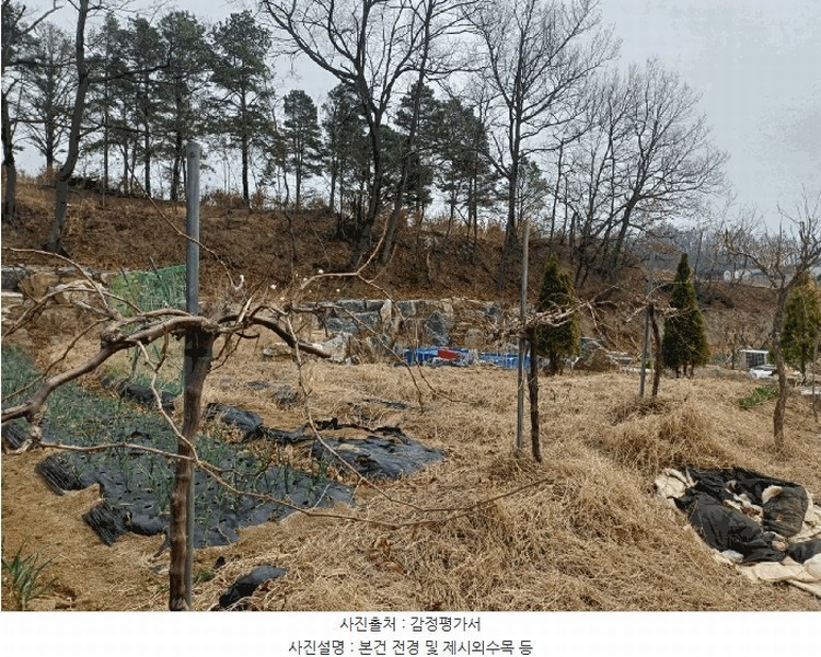 2025타경31047 경상북도 성주군 초전면 용성리 646 농지 경매 이미지
