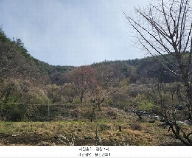 2025타경559 경상남도 진주시 명석면 신기리 594 농지 경매 이미지