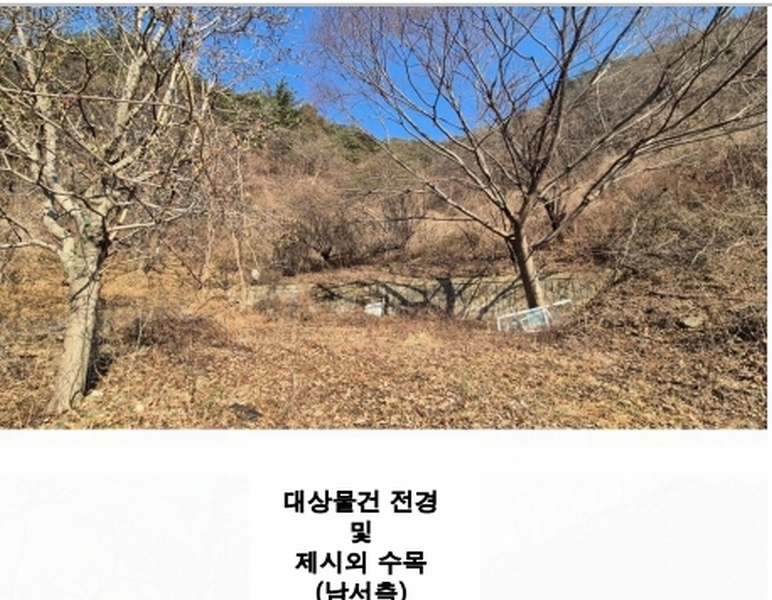 2025타경559 경상남도 진주시 명석면 신기리 594 농지 경매 이미지