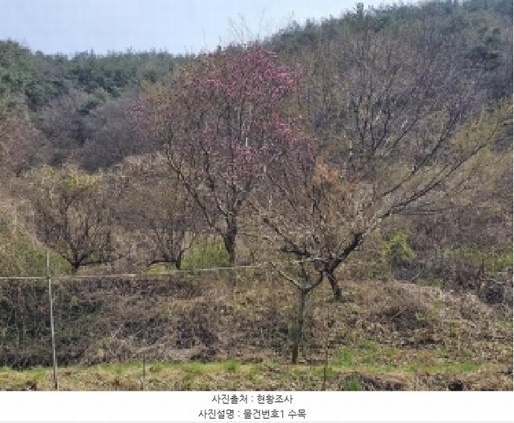 2025타경559 경상남도 진주시 명석면 신기리 594 농지 경매 이미지