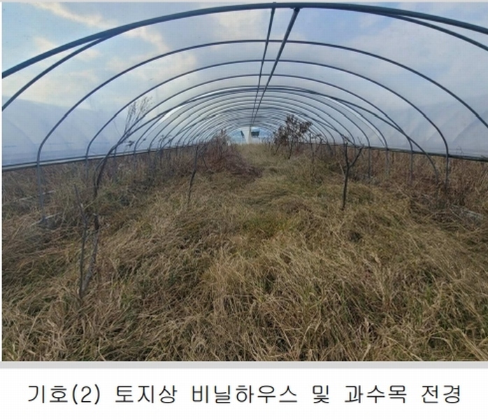 2025타경31094 대구광역시 달성군 화원읍 설화리 93 농지 경매 이미지