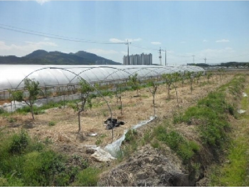 2025타경31094 대구광역시 달성군 화원읍 설화리 93 농지 경매 이미지