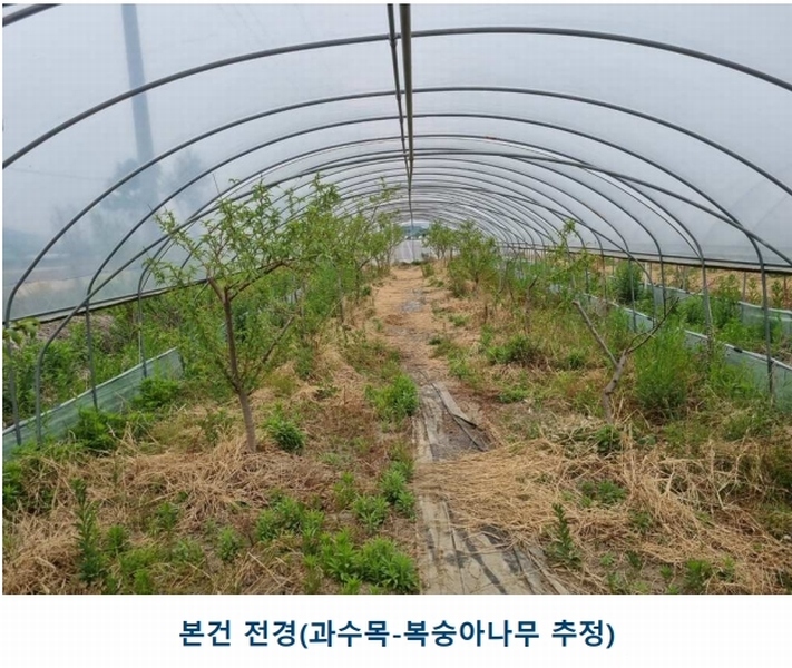 2025타경31094 대구광역시 달성군 화원읍 설화리 93 농지 경매 이미지
