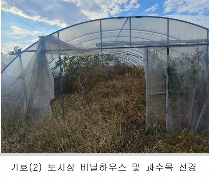 2025타경31094 대구광역시 달성군 화원읍 설화리 93 농지 경매 이미지