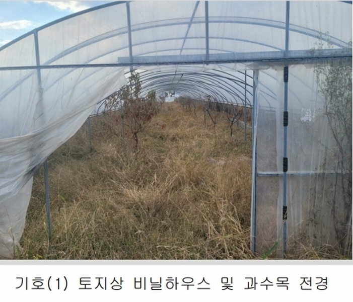2025타경31094 대구광역시 달성군 화원읍 설화리 93 농지 경매 이미지