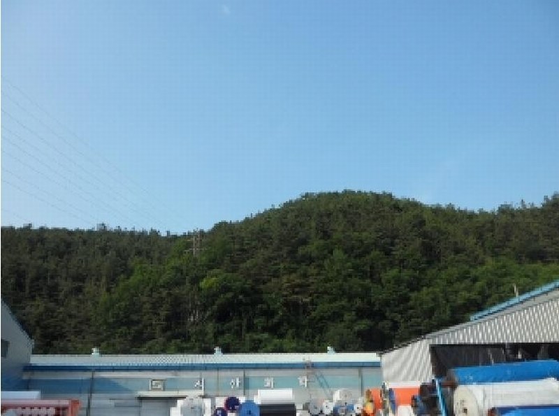 2025타경31196 경상북도 고령군 개진면 반운리 산28-1 임야 경매 이미지