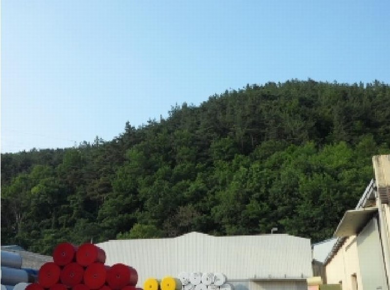 2025타경31196 경상북도 고령군 개진면 반운리 산28-1 임야 경매 이미지