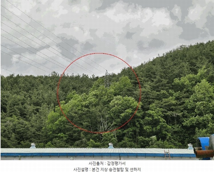 2025타경31196 경상북도 고령군 개진면 반운리 산28-1 임야 경매 이미지
