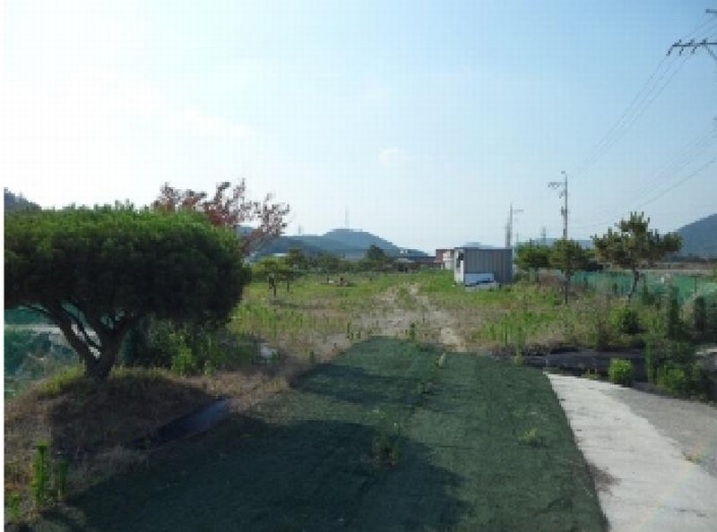 2025타경31323 경상북도 고령군 개진면 생리 17-1 농지 경매 이미지