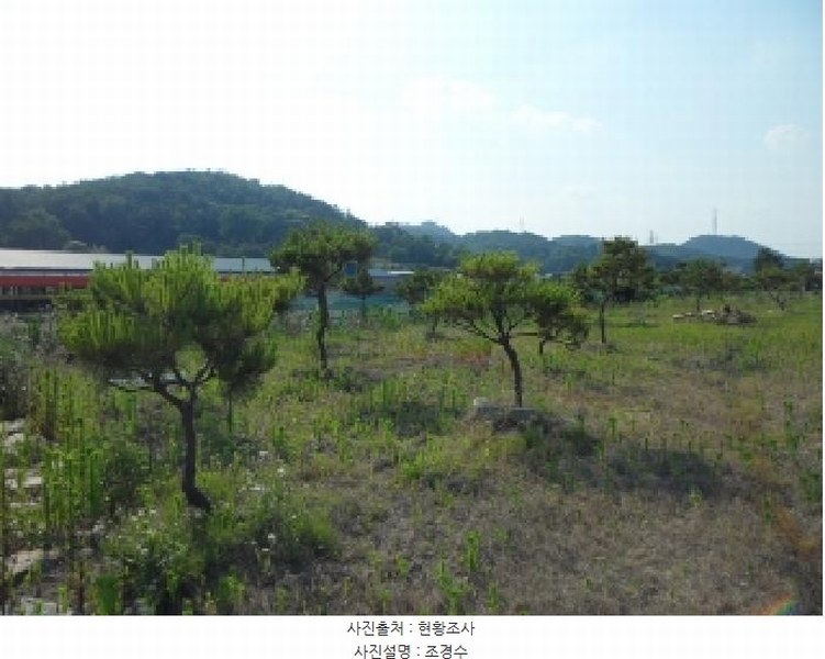 2025타경31323 경상북도 고령군 개진면 생리 17-1 농지 경매 이미지