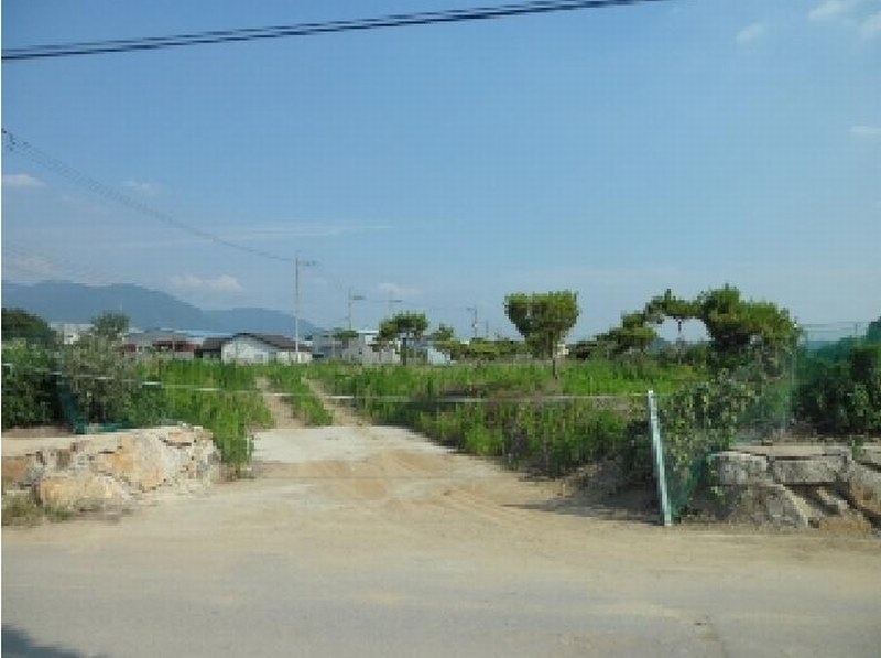 2025타경31323 경상북도 고령군 개진면 생리 17-1 농지 경매 이미지