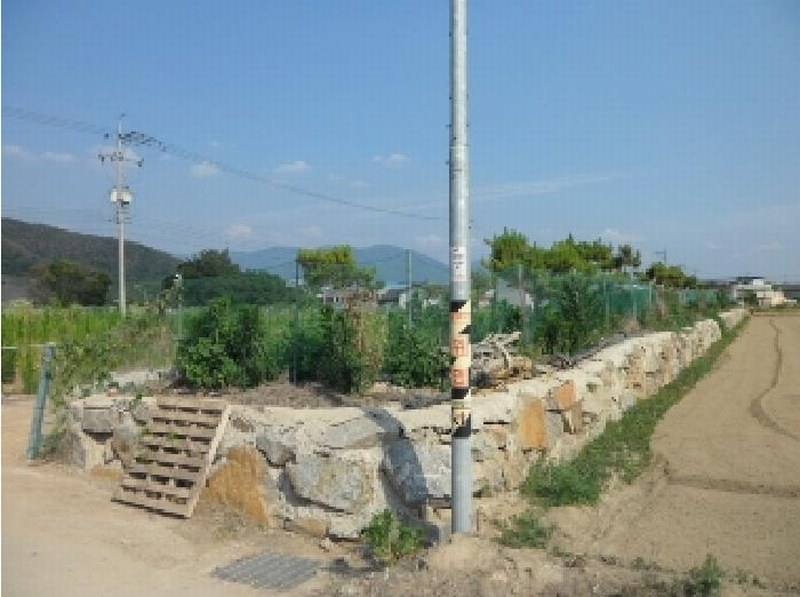 2025타경31323 경상북도 고령군 개진면 생리 17-1 농지 경매 이미지