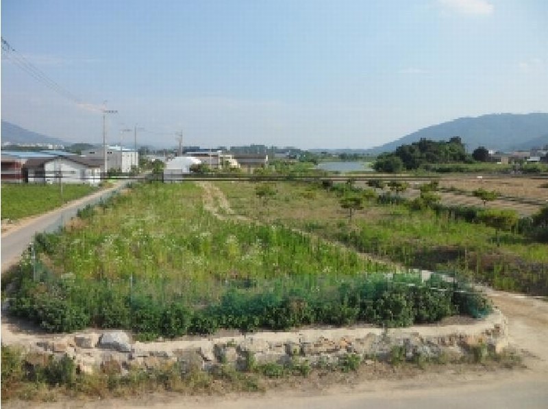 2025타경31323 경상북도 고령군 개진면 생리 17-1 농지 경매 이미지