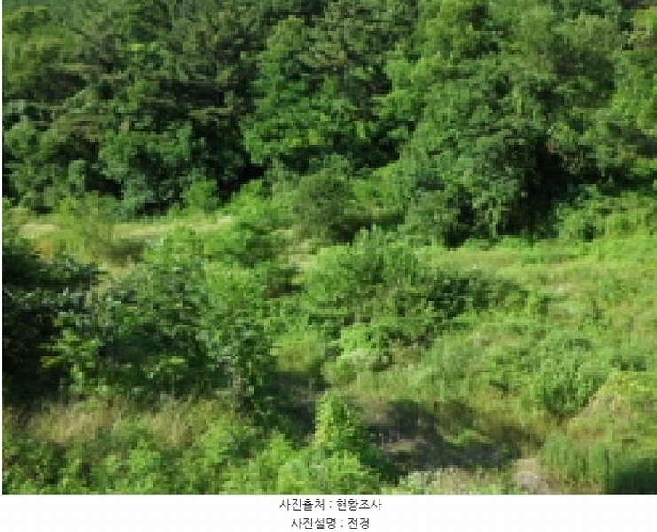 2025타경31389 대구광역시 달성군 현풍읍 오산리 767-2 유지 경매 이미지