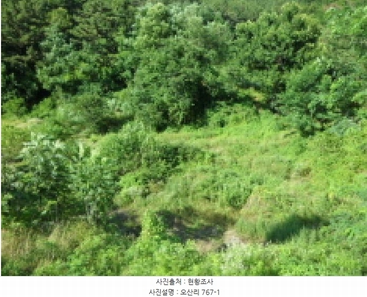 2025타경31389 대구광역시 달성군 현풍읍 오산리 767-2 유지 경매 이미지