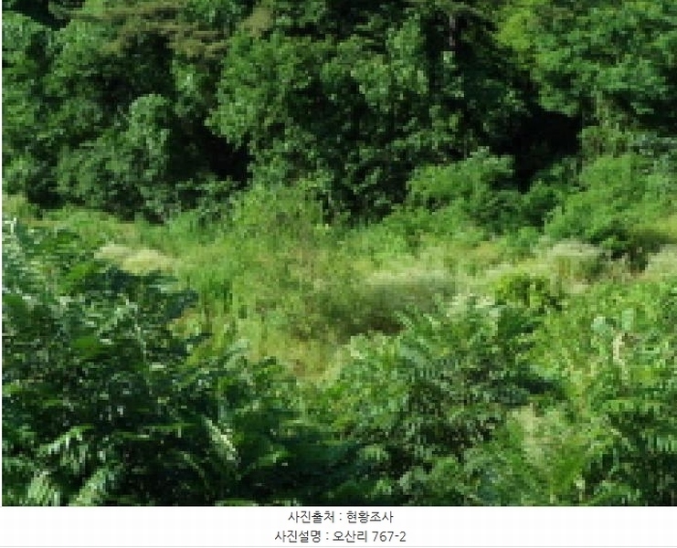 2025타경31389 대구광역시 달성군 현풍읍 오산리 767-2 유지 경매 이미지