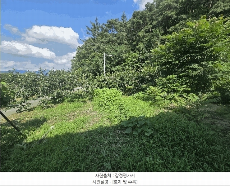 2025타경31419 대구광역시 달성군 현풍읍 오산리 46-2 창고 경매 이미지
