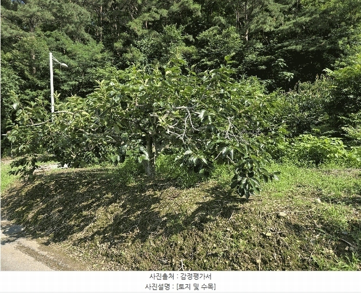 2025타경31419 대구광역시 달성군 현풍읍 오산리 46-2 창고 경매 이미지