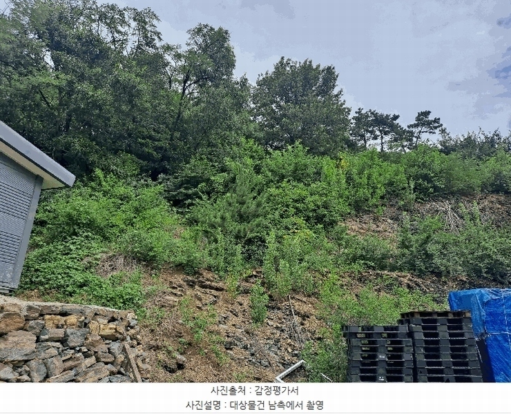 2025타경31461 대구광역시 달성군 구지면 목단리 692-3 임야 경매 이미지