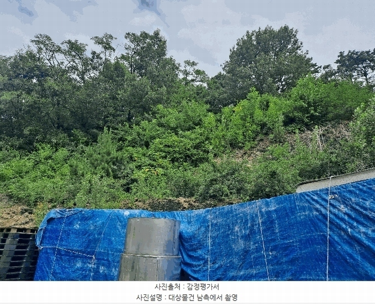 2025타경31461 대구광역시 달성군 구지면 목단리 692-3 임야 경매 이미지