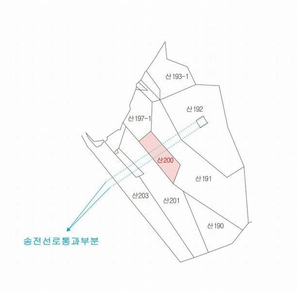 2025타경31701 대구광역시 달성군 논공읍 본리리 산200 임야 경매 이미지