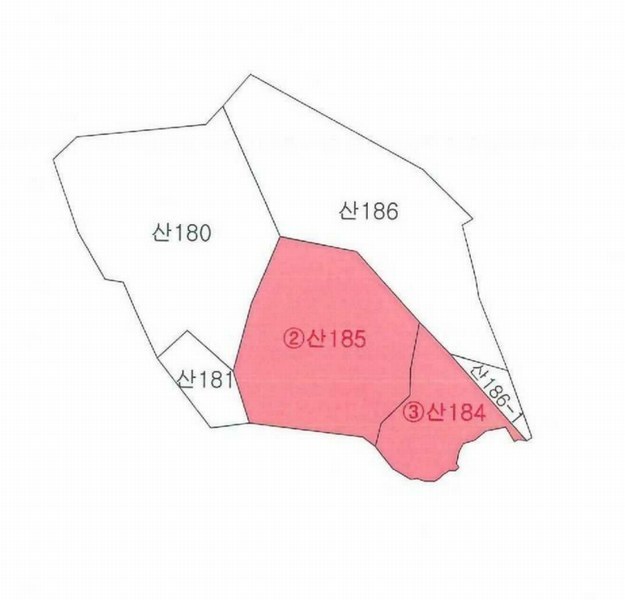 2023타경40977 대구광역시 달성군 옥포읍 김흥리 산185 임야 경매 이미지