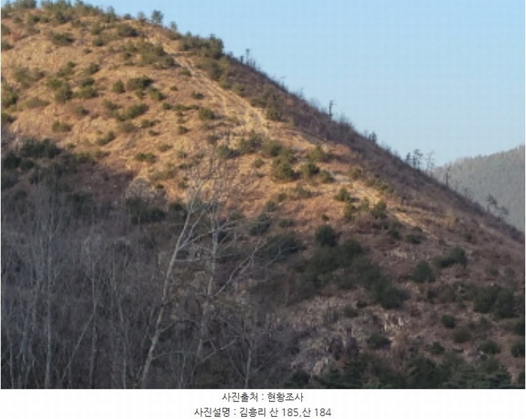 2023타경40977 대구광역시 달성군 옥포읍 김흥리 산185 임야 경매 이미지