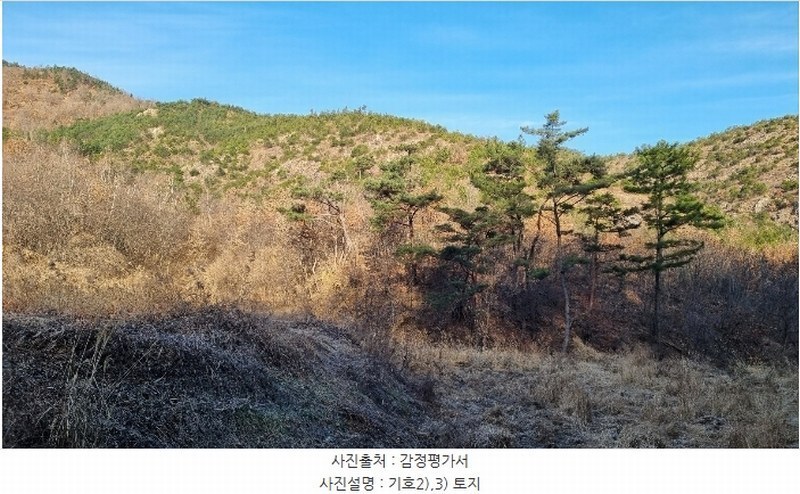 2023타경40977 대구광역시 달성군 옥포읍 김흥리 산185 임야 경매 이미지