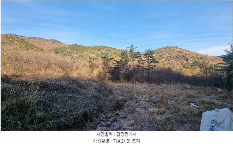 2023타경40977 대구광역시 달성군 옥포읍 김흥리 산185 임야 경매 이미지