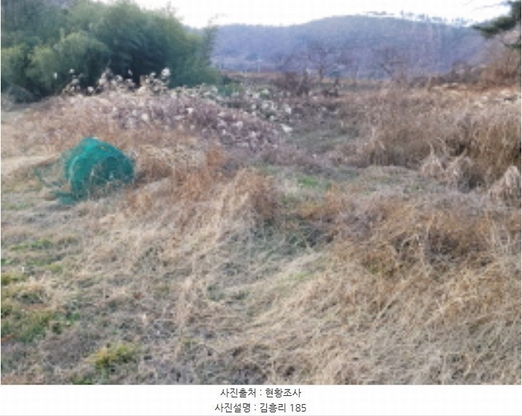 2023타경40977 대구광역시 달성군 옥포읍 김흥리 산185 임야 경매 이미지