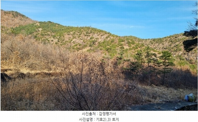 2023타경40977 대구광역시 달성군 옥포읍 김흥리 산185 임야 경매 이미지