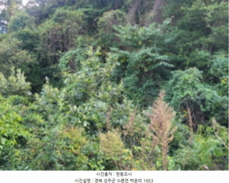 2024타경37626 경상북도 성주군 수륜면 백운리 1663 농지 경매 이미지