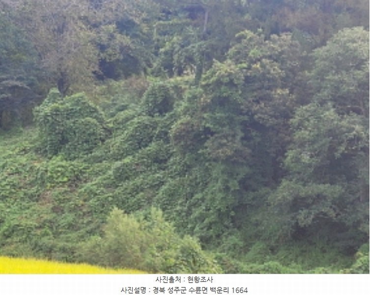 2024타경37626 경상북도 성주군 수륜면 백운리 1663 농지 경매 이미지