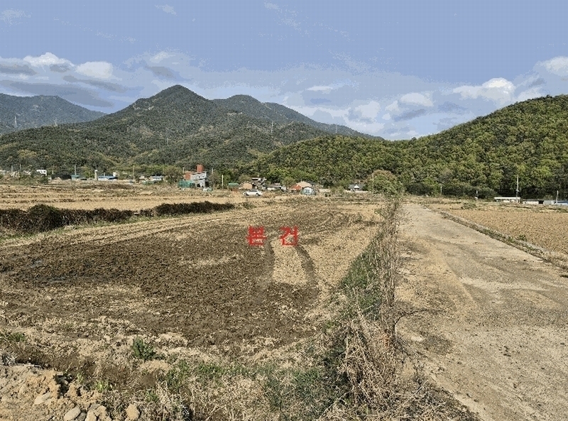 2025타경898 대구광역시 달성군 유가읍 가태리 702 농지 경매 이미지