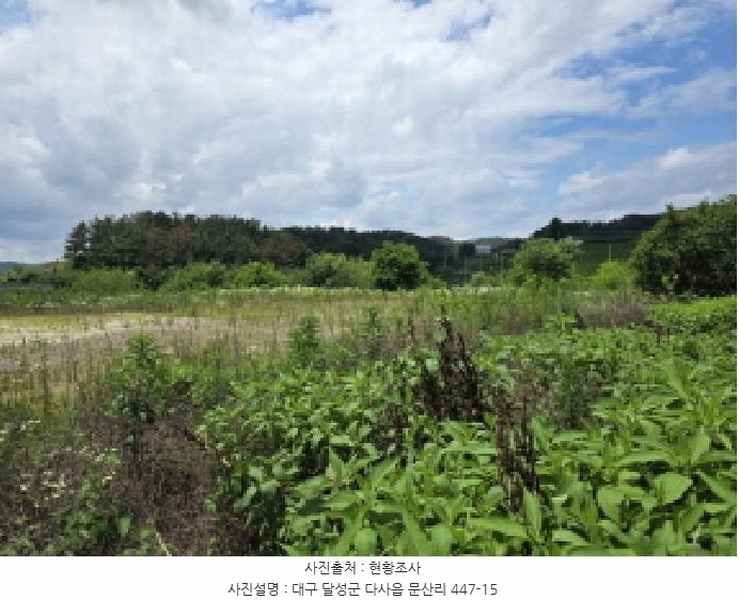 2025타경1372 대구광역시 달성군 다사읍 문산리 447-9 농지 경매 이미지