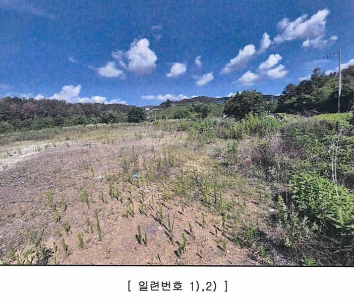 2025타경1372 대구광역시 달성군 다사읍 문산리 447-9 농지 경매 이미지