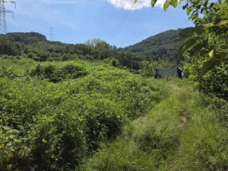 2025타경2030 경상북도 성주군 용암면 용정리 산80 임야 경매 이미지