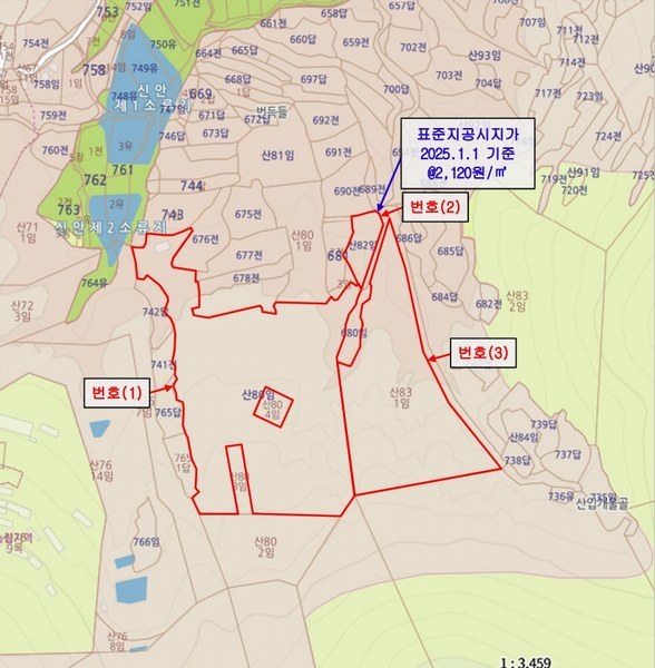 2025타경2030 경상북도 성주군 용암면 용정리 산80 임야 경매 이미지