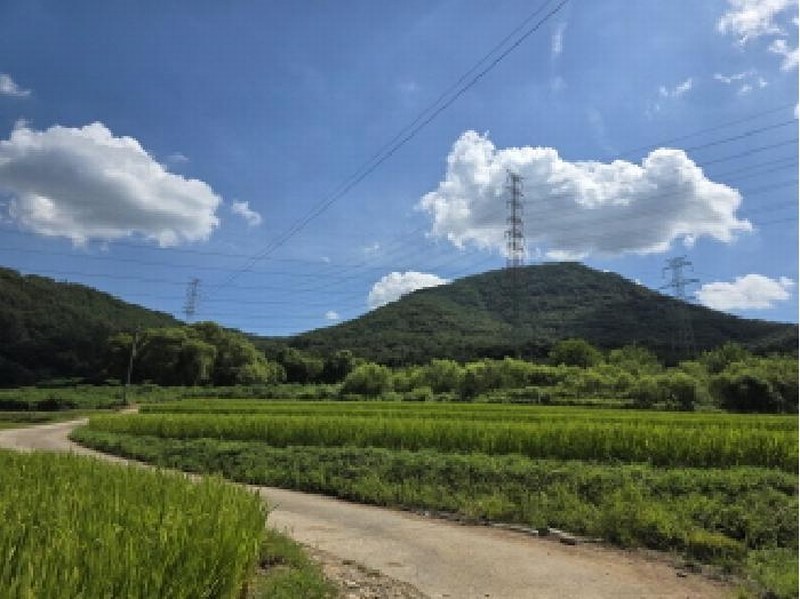 2025타경2030 경상북도 성주군 용암면 용정리 산80 임야 경매 이미지