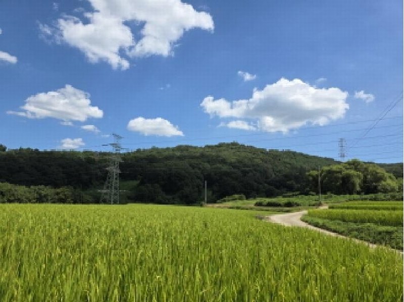 2025타경2030 경상북도 성주군 용암면 용정리 산80 임야 경매 이미지