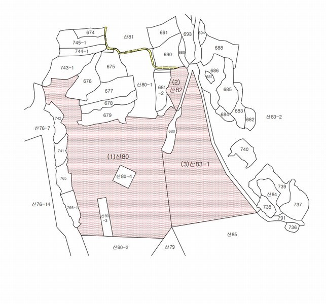 2025타경2030 경상북도 성주군 용암면 용정리 산80 임야 경매 이미지