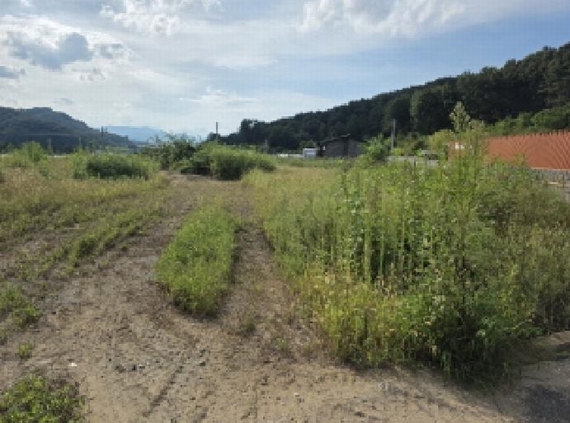 2025타경2429 경상북도 성주군 성주읍 성산리 806-4 농지 경매 이미지