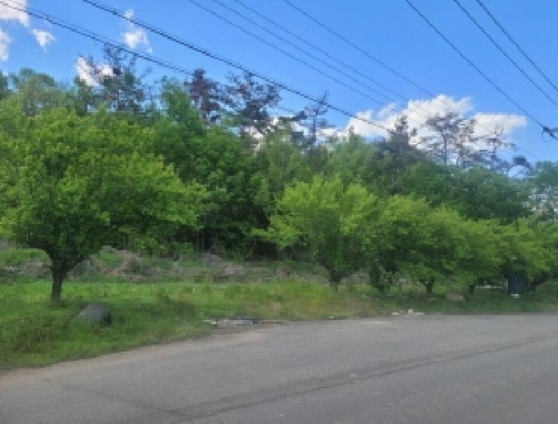 2025타경30973 경상북도 성주군 용암면 기산리 산7-1 임야 경매 이미지