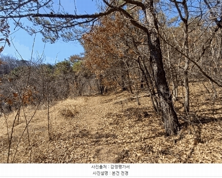 2025타경30973 경상북도 성주군 용암면 기산리 산7-1 임야 경매 이미지