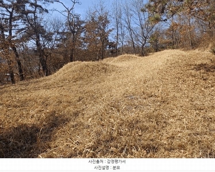 2025타경30973 경상북도 성주군 용암면 기산리 산7-1 임야 경매 이미지