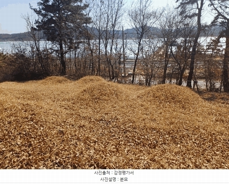 2025타경30973 경상북도 성주군 용암면 기산리 산7-1 임야 경매 이미지