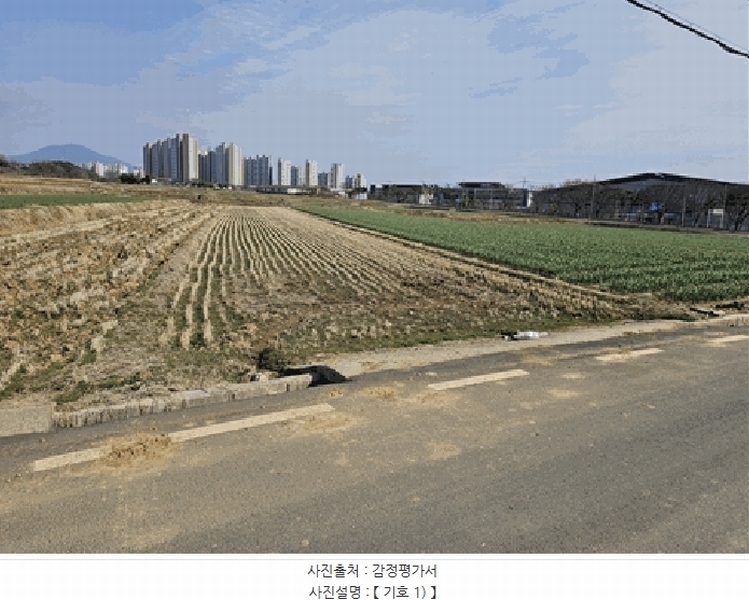 2025타경31034 대구광역시 달성군 구지면 수리리 846 농지 경매 이미지